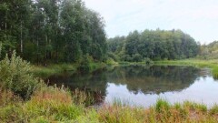 Россия отказалась от заболоченного озера в пользу Казахстана