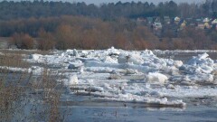 Под угрозой подтопления оказались посёлок и остров в Семее