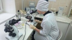 ДНК свиньи обнаружили в халяльной продукции казахстанского производства и консервах из России