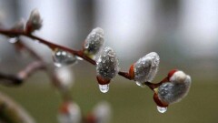 Прогноз погоды на 16 апреля: осадки пройдут на большей территории страны