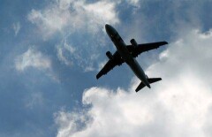 Известного тренера по борьбе не пустили на чемпионат мира