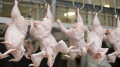 Саудовская Аравия заинтересована в поставках мяса из Казахстана