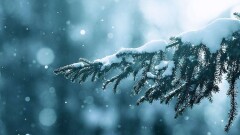 Прогноз погоды на 16 января: на большей части страны ожидаются осадки