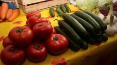 В Алматы выделено 160 млн тенге на закупку удешевлённых огурцов и помидоров