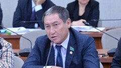 Мажилисмен: Несвоевременное проведение вакцинации привело к эпидемии птичьего гриппа