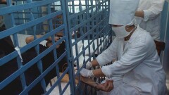 Забеременевшая в карагандинском СИЗО осуждённая больна СПИДом