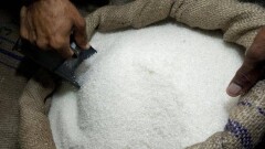 Привозной сахар занял 40% казахстанского рынка