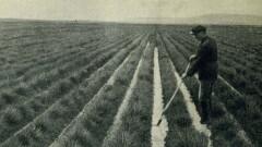 Как Советский Союз тянул резину из Казахстана