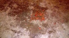 В Павлодаре у здания горсуда произошла перестрелка