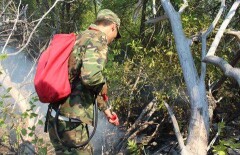 Вручную тушить лесной пожар пришлось в Уральске 