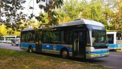 Власти Алматы объяснили, почему пассажирам автобусов выгодны новые тарифы 