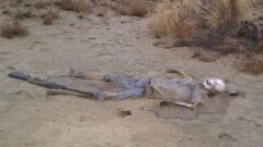 Скелет в кызылординской степи: экспертиза следов насилия не нашла