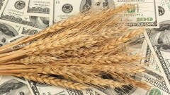 На проблемы со сбытом зерна пожаловались аграрии вице-министру сельского хозяйства