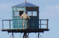 Границу России с Китаем охраняет чучело