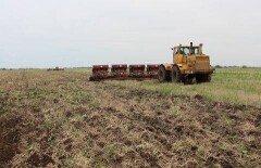 Продажу сельхозземель казахстанцам назвали бомбой замедленного действия