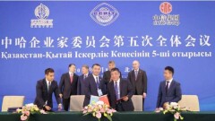 Кластер по производству панелей для солнечных электростанций запустят в Казахстане