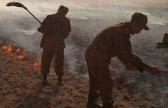 В ВКО вторые сутки не могут потушить пожар в горах