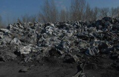 Жители Усть-Каменогорска обнаружили свалку химикатов