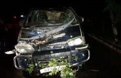В Алматы на два автомобиля упало дерево