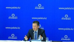 Кулибаев: Налоговые отчисления от МСБ должны вести к развитию самого бизнеса