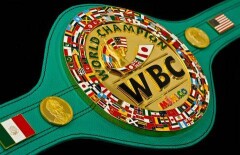 Казахстанский флаг появится на чемпионском поясе WBC
