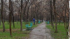 Байбек поручил сохранить деревья при реконструкции парка и сквера в Алматы