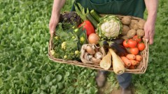 Почему органическая продукция Казахстана не идёт на экспорт, обсудили депутаты