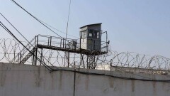 Проверка показала, что ни одна колония в РК не соответствует международным стандартам