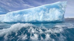 От Антарктиды откололся самый крупный за последние 50 лет айсберг