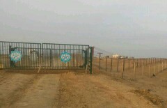Туркменистан на пять дней закрыл границу с Казахстаном