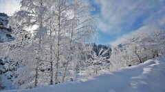 Прогноз погоды на 27 февраля: почти на всей территории страны сохранятся осадки