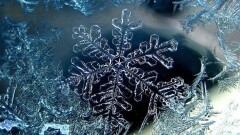 Школьникам и студентам колледжей Астаны отменили занятия на 6 февраля