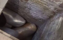 В гараже Усть-Каменогорска нашли залежи марихуаны