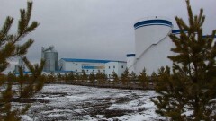 Первые 2000 тонн растительного масла экспортировали из СКО в Китай