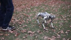 В США создали роботов-гепардов, которые будут работать в зонах стихийных бедствий