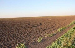 В Петропавловске пять лет с предпринимателей незаконно взимали земельный налог 