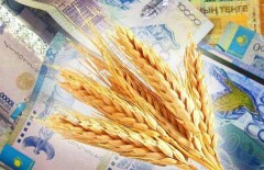Минсельхоз собирается урезать неэффективные субсидии