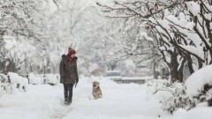 Осадки сохранятся на большей части страны 22 ноября