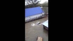 Заплыв в затопленном посёлке Заречный устроил сельчанин