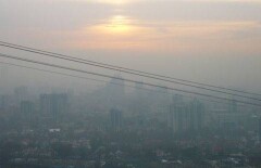Петицию с требованием остановить экологический коллапс в Алматы направили Назарбаеву