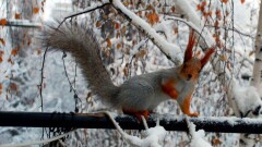 Синоптики рассказали, какой будет погода в пятницу, 22 декабря