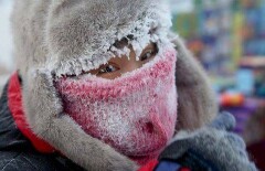 Сильные морозы до 33 градусов ожидаются в Казахстане
