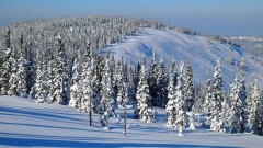 Неустойчивую погоду прогнозируют синоптики 13 февраля