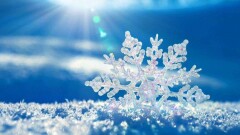 Прогноз погоды на 21 декабря 