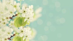 Прогноз погоды на 1 мая: сухо и тепло будет на большей части Казахстана