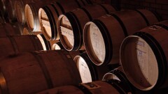 Тайна популярности бренда Arba Wine