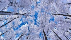 О погоде на 8 января рассказали синоптики