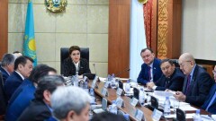 Дарига Назарбаева: За ошибки в управлении электроэнергетикой расплачивается каждая семья