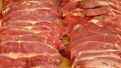 Казахстанские санврачи научились распознавать в продуктах мясо собак и грызунов