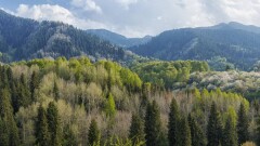 Алматинские туроператоры объявили войну коллегам из Узбекистана и Кыргызстана